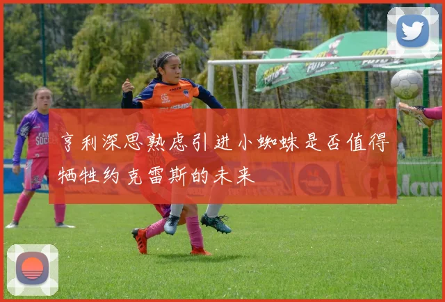 亨利深思熟虑引进小蜘蛛是否值得牺牲约克雷斯的未来